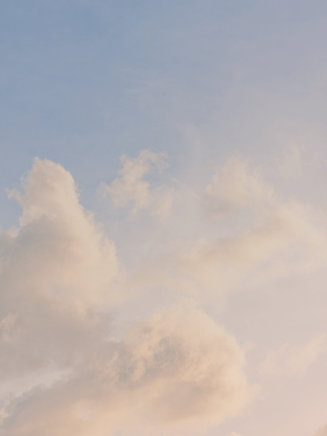 Pulina-Air-Luxury-transport